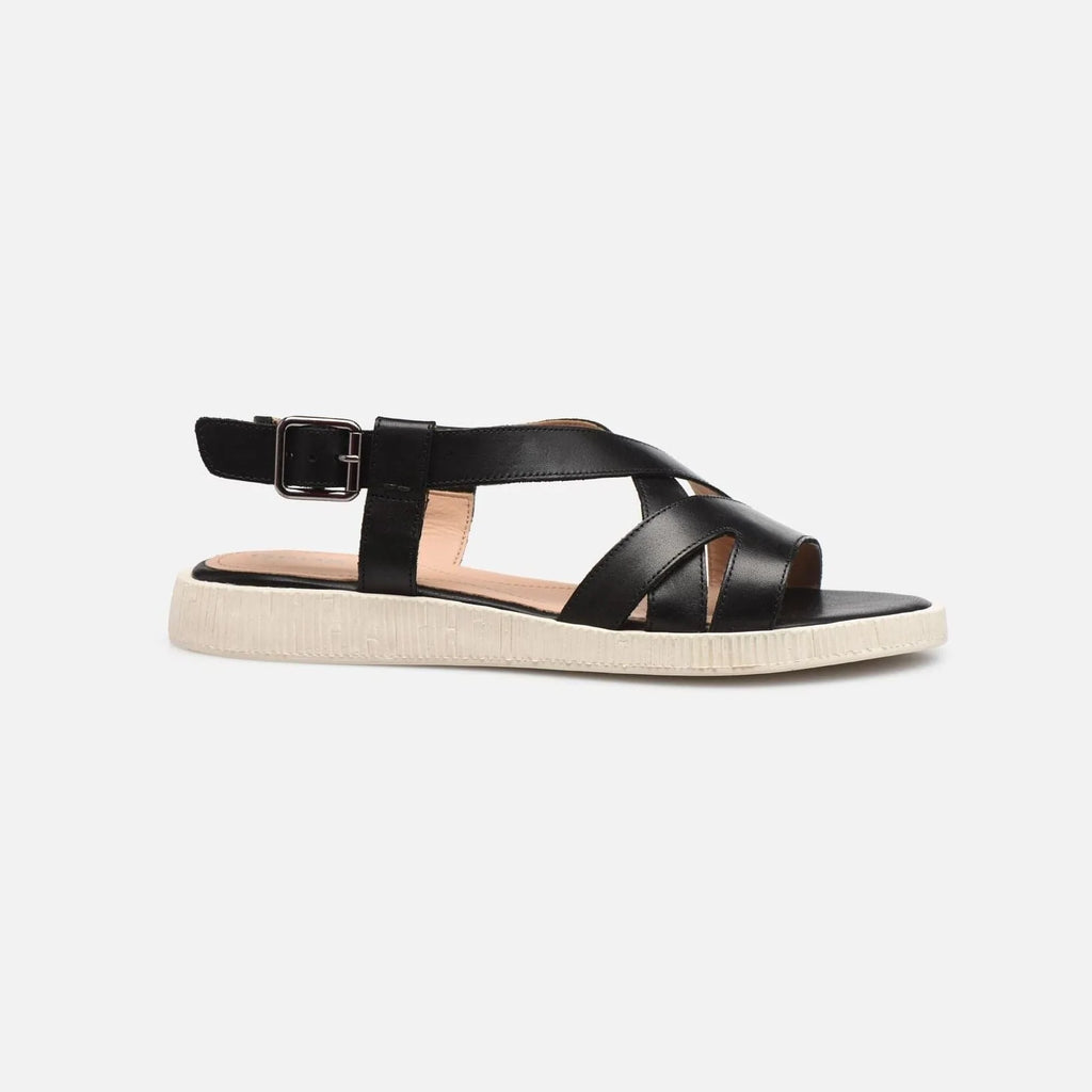 GEOX Women GEOX Women D Taormina Sandal Black